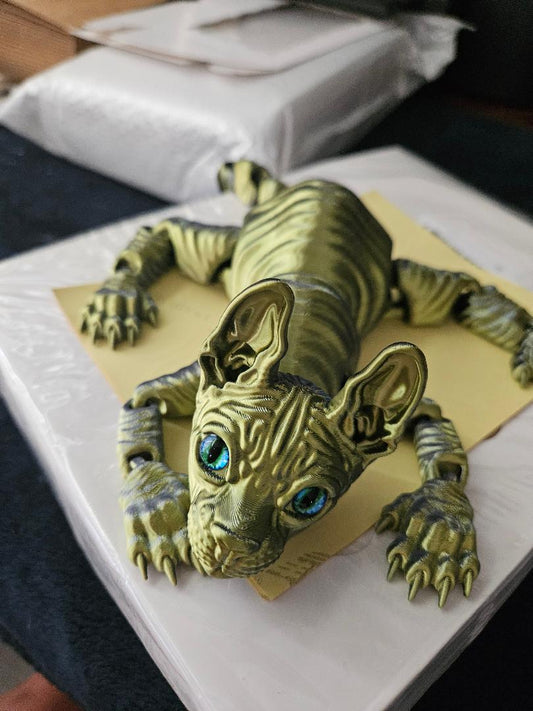 Sphynx cat